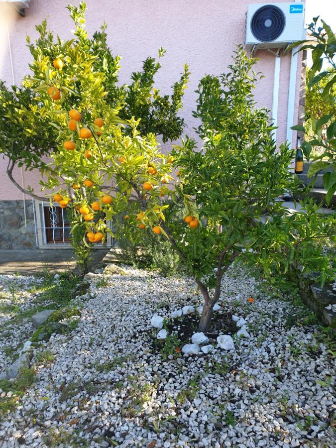 Quinta De Sao Marcos Country house *