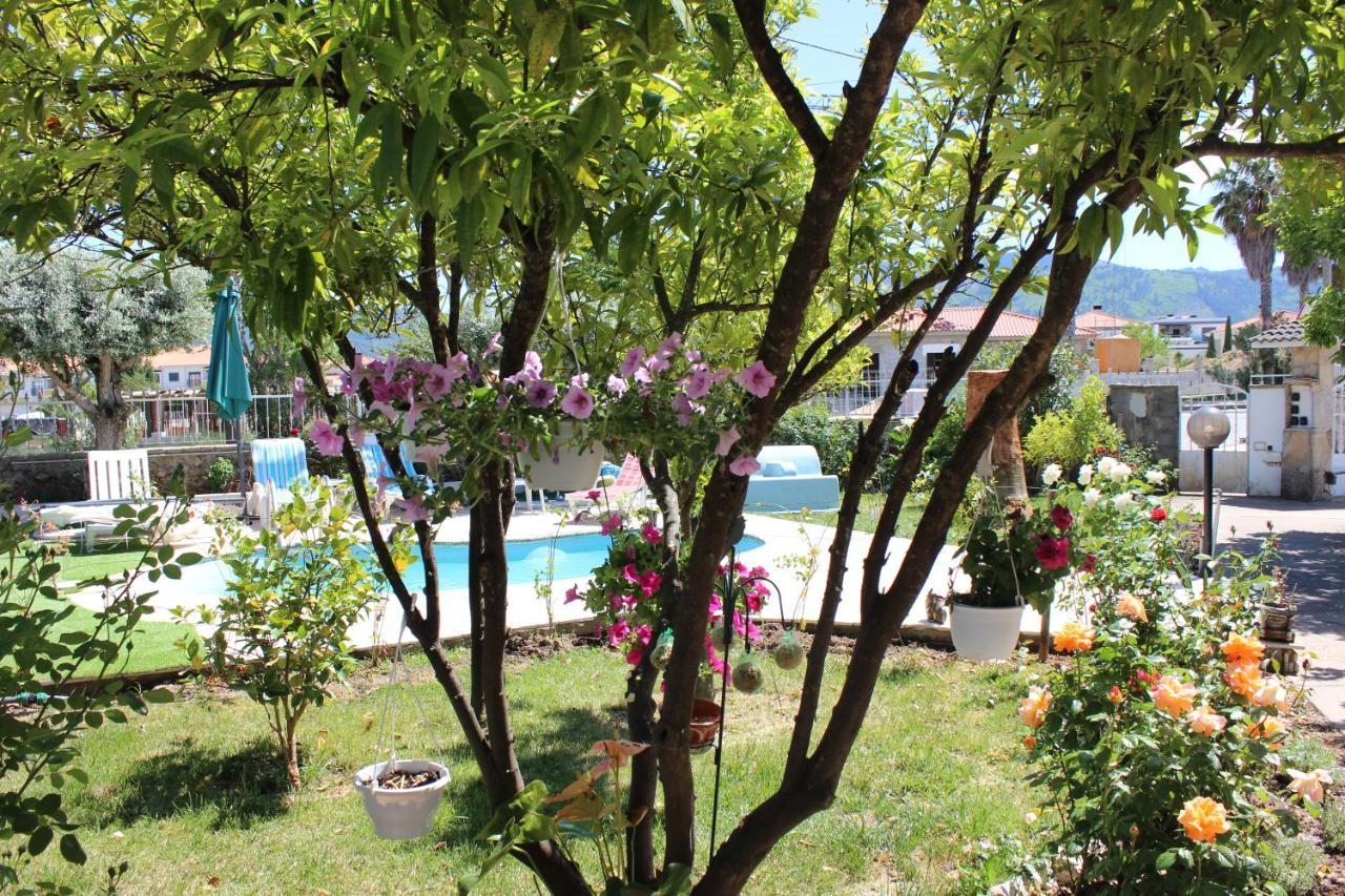 Quinta De Sao Marcos Fundao